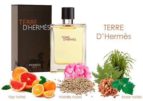 hermes terre d'hermes notes|perfume terre d'hermès original copies.